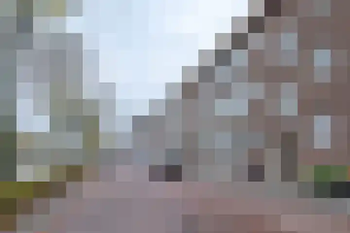 Dorpsweg 144 C Rotterdam thumbnail 7