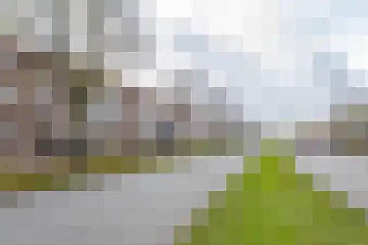 Dorpsweg 144 C Rotterdam thumbnail 8
