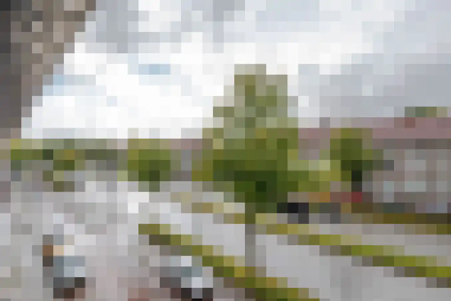 Dorpsweg 152 B Rotterdam thumbnail 11