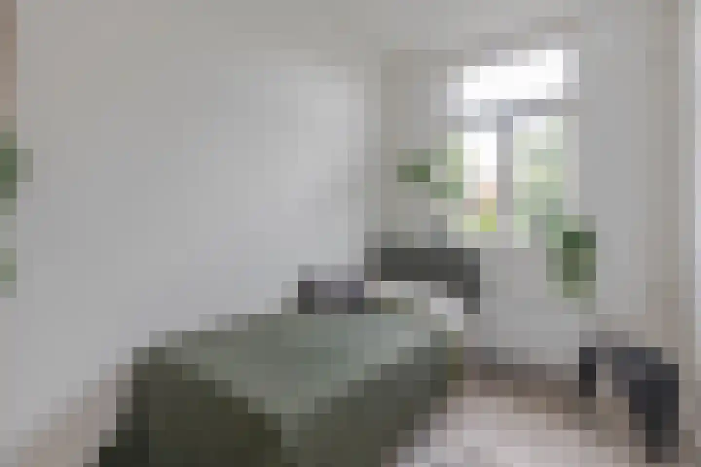 Dorpsweg 152 B Rotterdam thumbnail 17