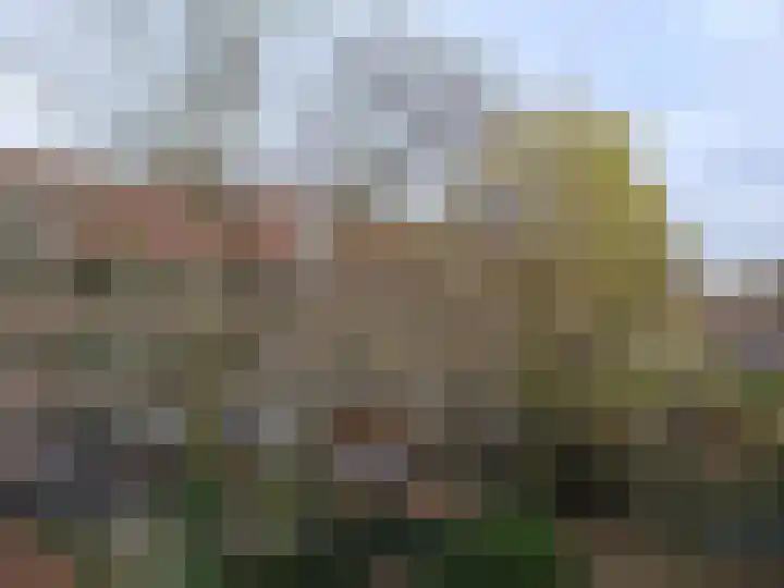 Dorpsweg 153 A Rotterdam thumbnail 12