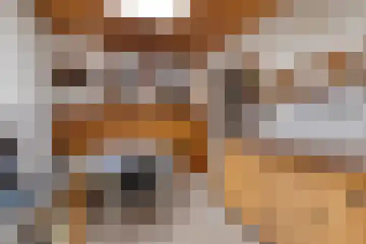 Dorpsweg 153 Twisk thumbnail 12