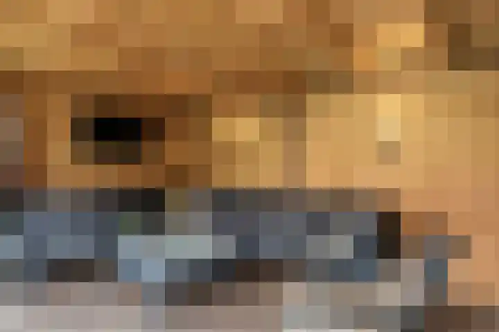 Dorpsweg 153 Twisk thumbnail 13