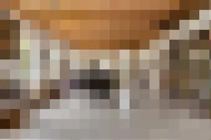 Dorpsweg 153 Twisk thumbnail 14