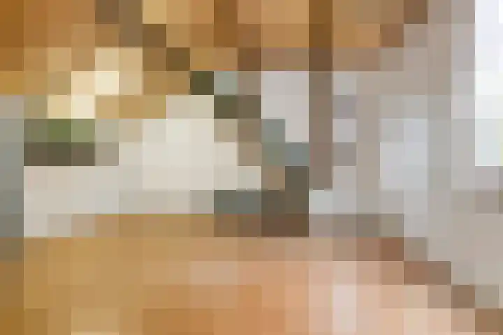 Dorpsweg 153 Twisk thumbnail 37