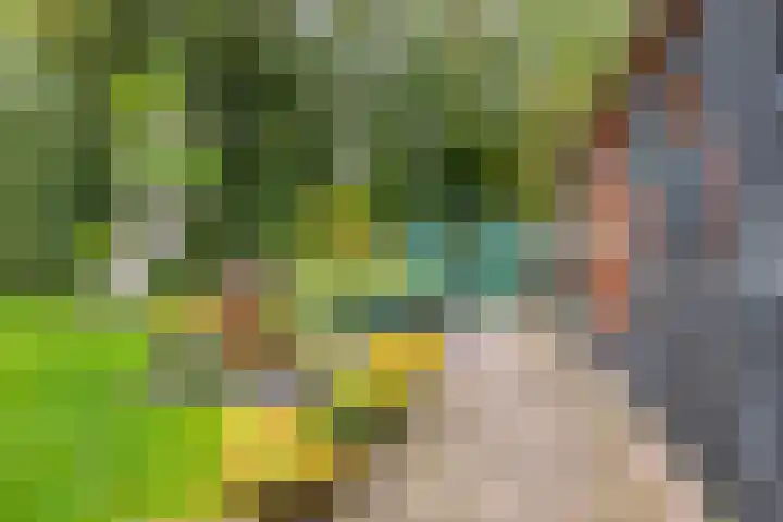 Dorpsweg 153 Twisk thumbnail 41