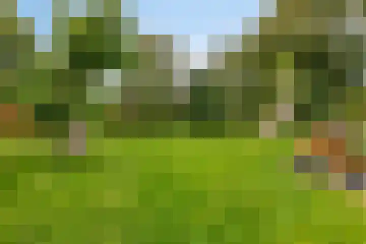 Dorpsweg 153 Twisk thumbnail 42