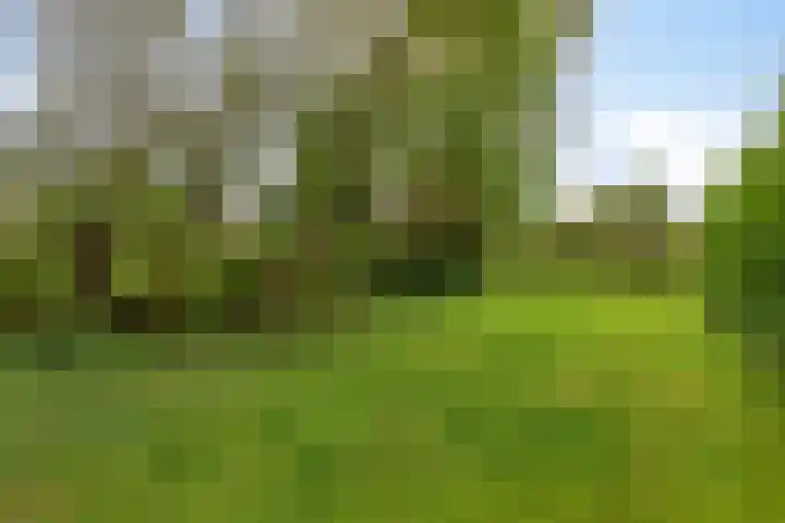 Dorpsweg 153 Twisk thumbnail 43