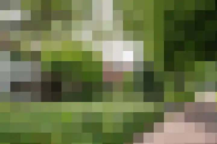 Dorpsweg 153 Twisk thumbnail 5