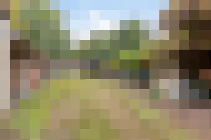 Dorpsweg 153 Twisk thumbnail 52