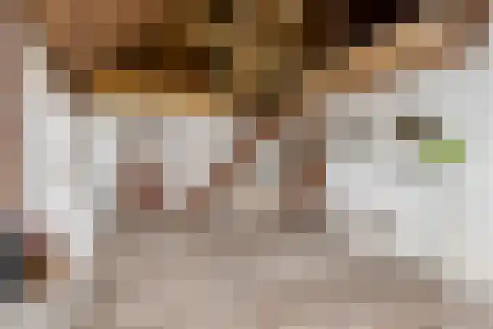 Dorpsweg 153 Twisk thumbnail 6