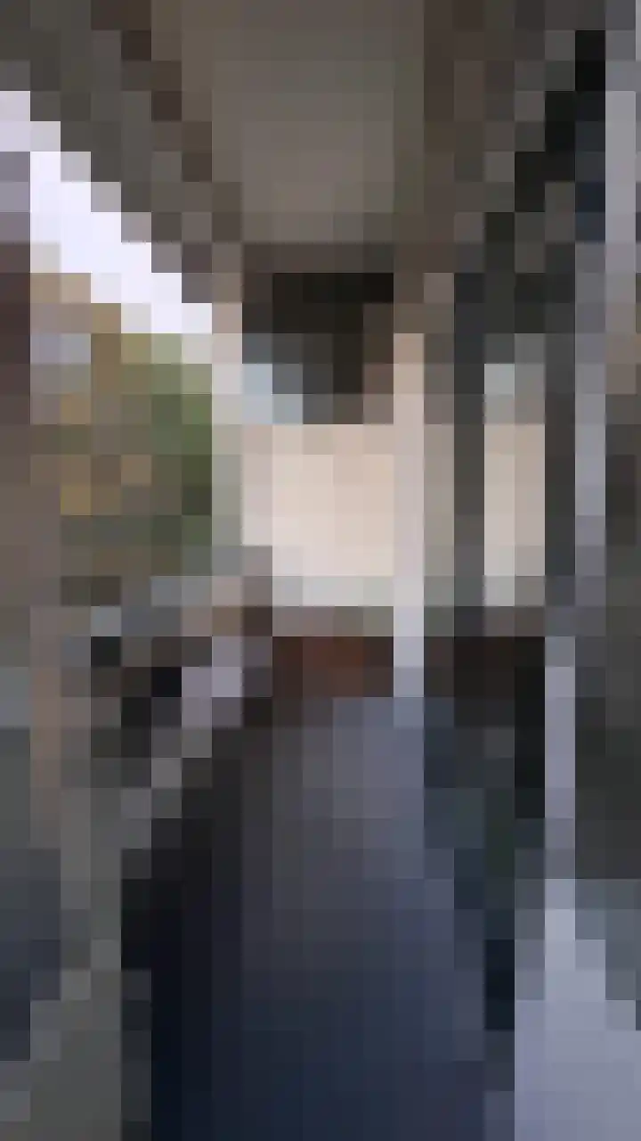 Dorpsweg 155 B Rotterdam thumbnail 7