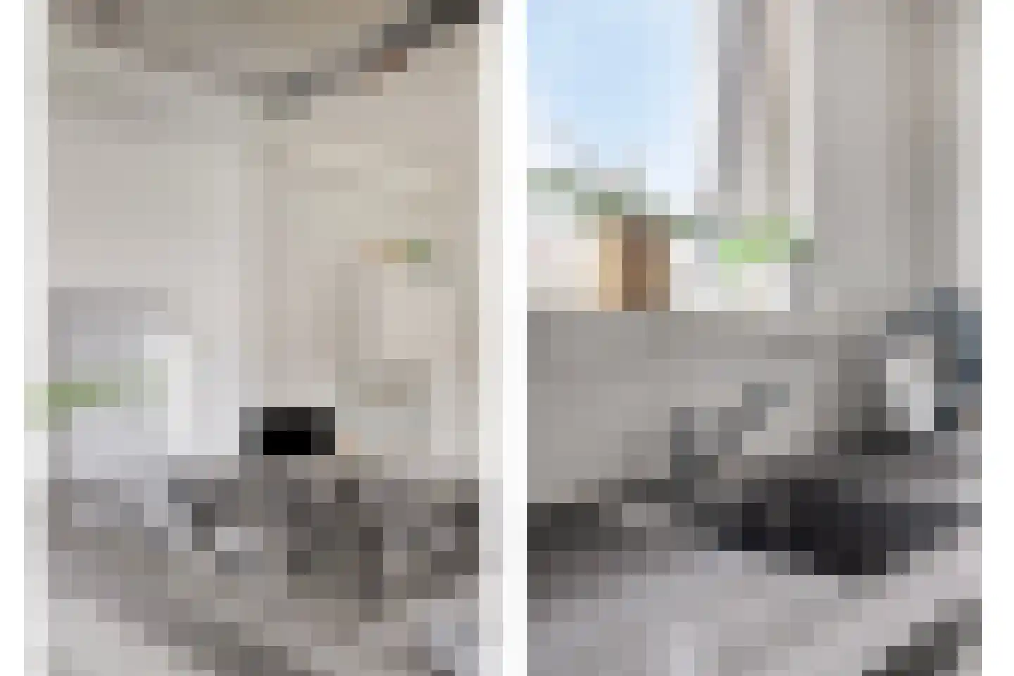 Dorpsweg 156 B Rotterdam thumbnail 17