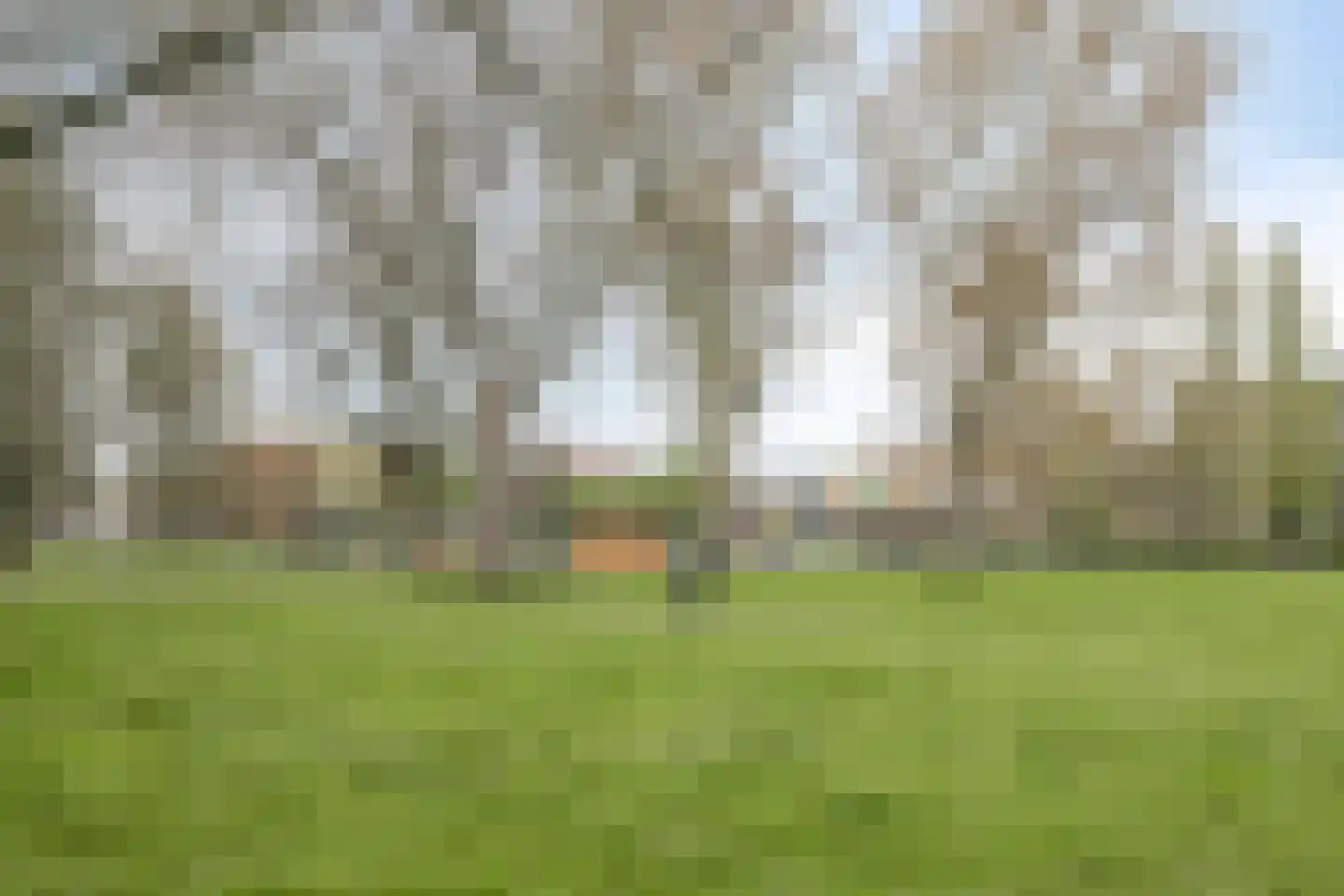 Dorpsweg 156 B Rotterdam thumbnail 27