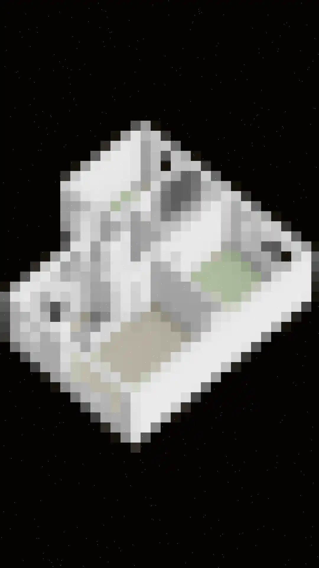 Dorpsweg 156 B Rotterdam thumbnail 30