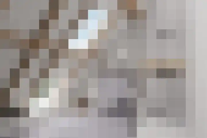 Dorpsweg 157 Twisk thumbnail 26