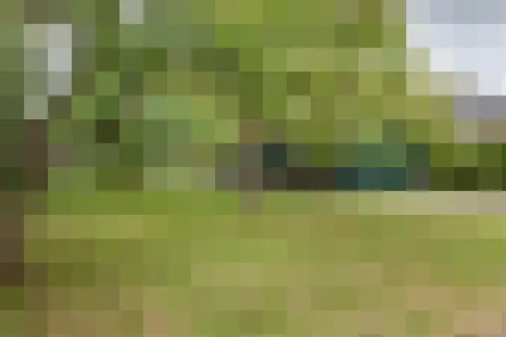Dorpsweg 157 Twisk thumbnail 29