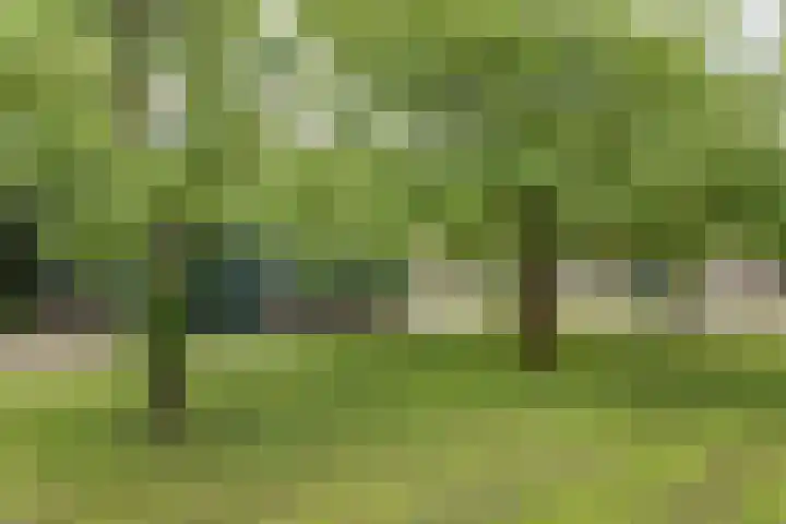 Dorpsweg 157 Twisk thumbnail 30