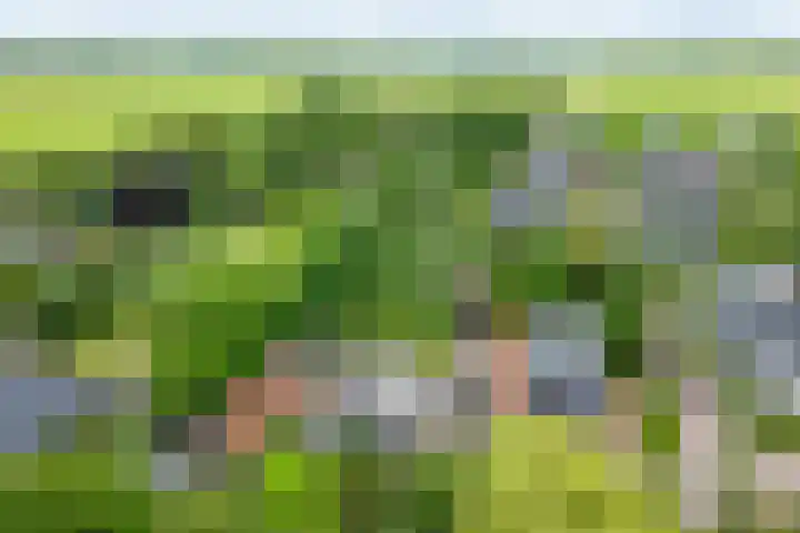 Dorpsweg 157 Twisk thumbnail 32