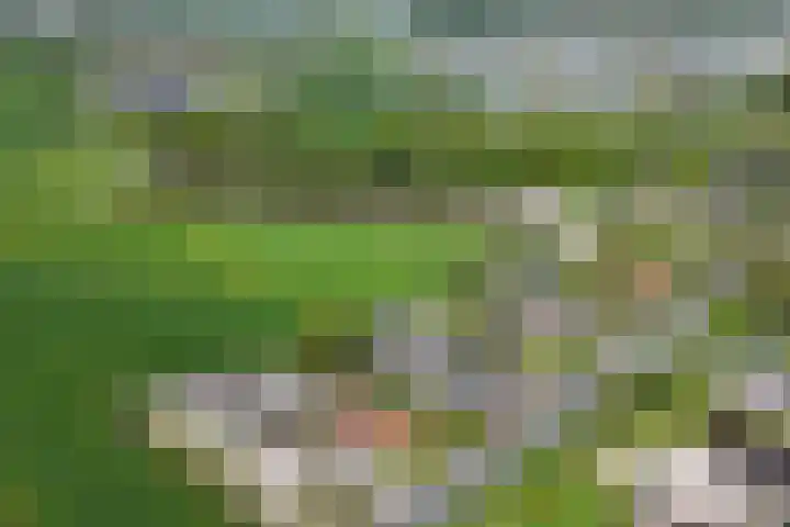 Dorpsweg 16 a Hensbroek thumbnail 100