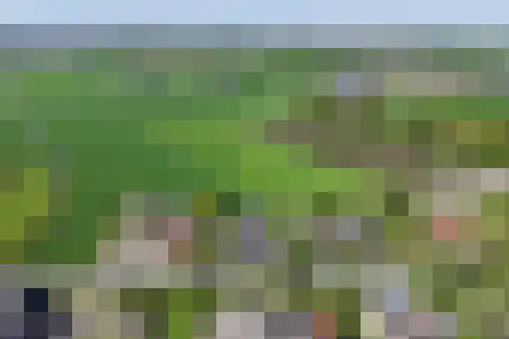 Dorpsweg 16 a Hensbroek thumbnail 101
