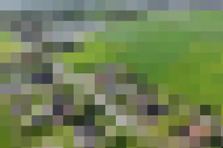 Dorpsweg 16 a Hensbroek thumbnail 102