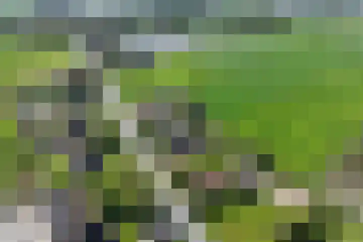 Dorpsweg 16 a Hensbroek thumbnail 103