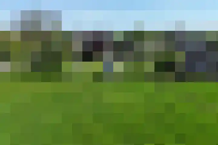 Dorpsweg 16 a Hensbroek thumbnail 109