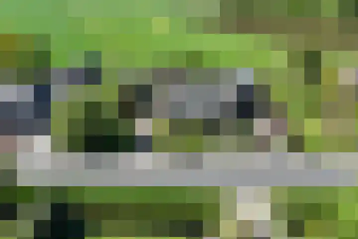 Dorpsweg 16 a Hensbroek thumbnail 111