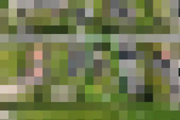 Dorpsweg 16 a Hensbroek thumbnail 112