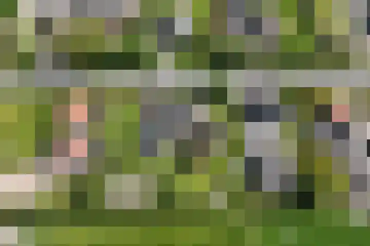 Dorpsweg 16 a Hensbroek thumbnail 113