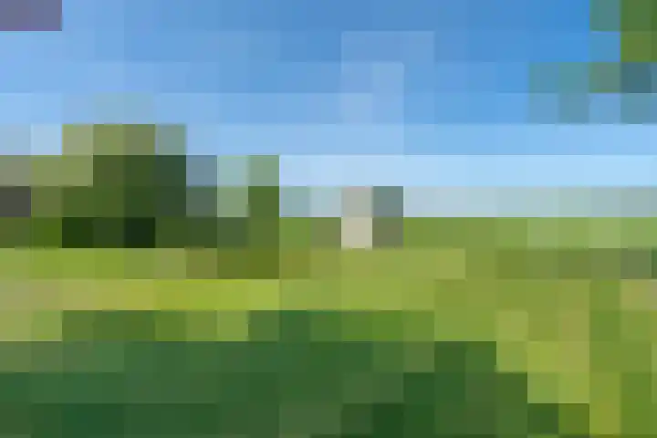 Dorpsweg 16 a Hensbroek thumbnail 57