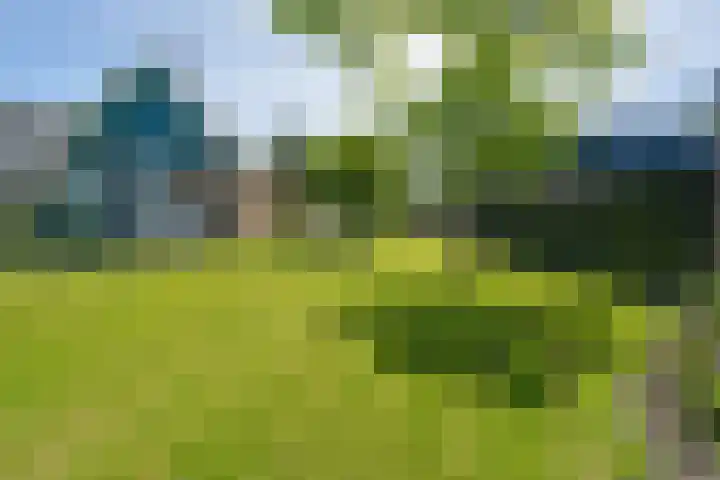 Dorpsweg 16 a Hensbroek thumbnail 59