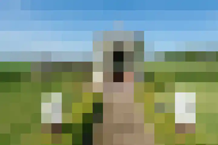 Dorpsweg 16 a Hensbroek thumbnail 60