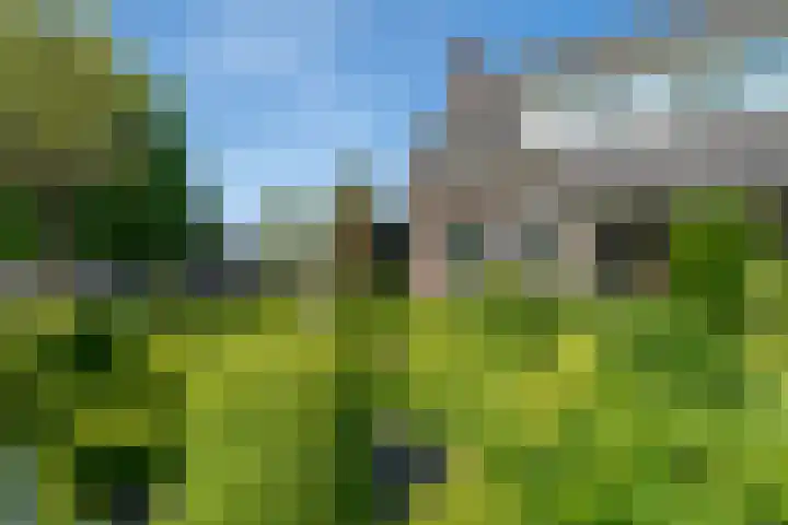 Dorpsweg 16 a Hensbroek thumbnail 70