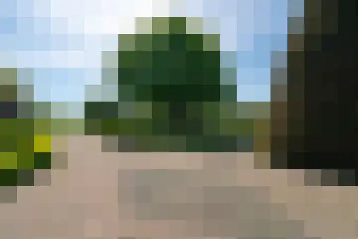 Dorpsweg 16 a Hensbroek thumbnail 75