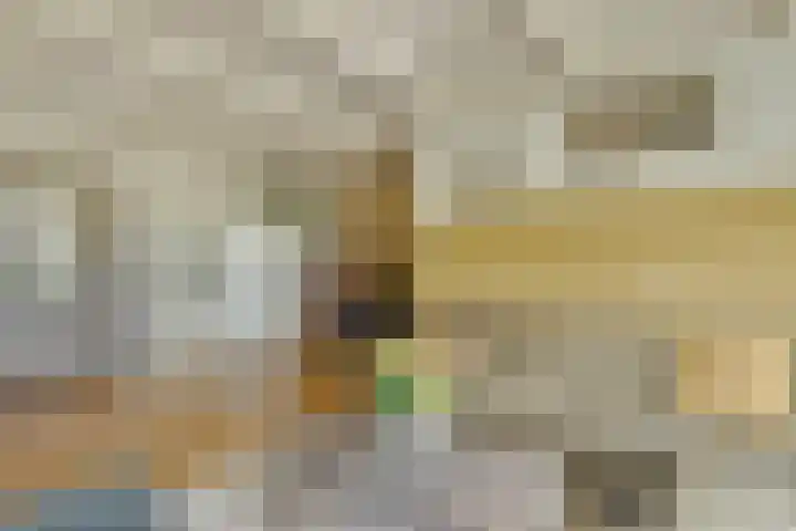 Dorpsweg 16 a Hensbroek thumbnail 8