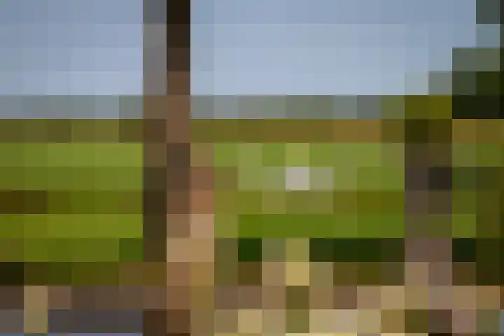 Dorpsweg 16 a Hensbroek thumbnail 93
