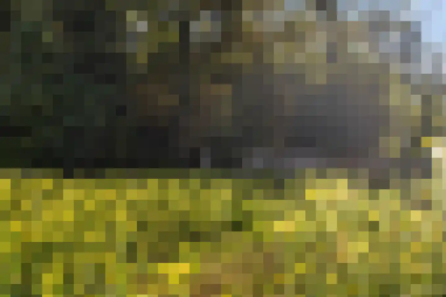 Dorpsweg 161 Maartensdijk thumbnail 17