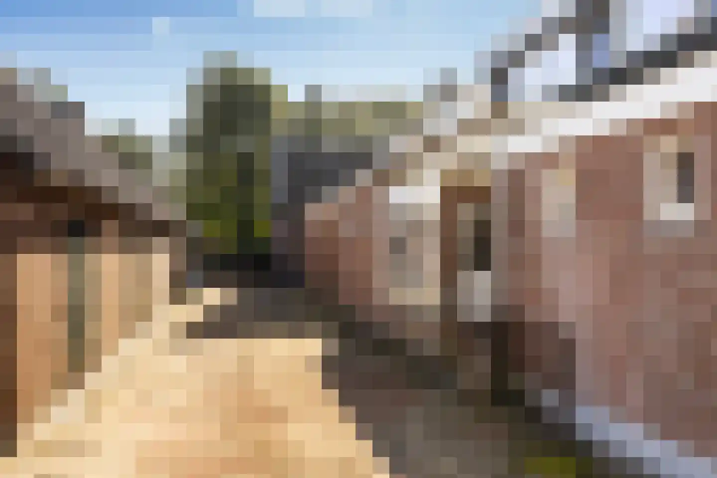 Dorpsweg 161 Maartensdijk thumbnail 20