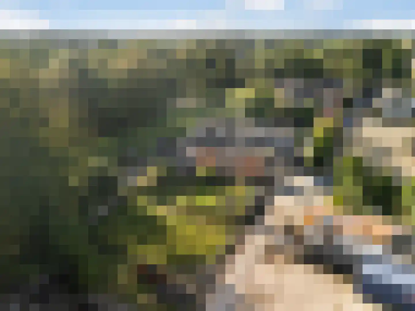 Dorpsweg 161 Maartensdijk thumbnail 21