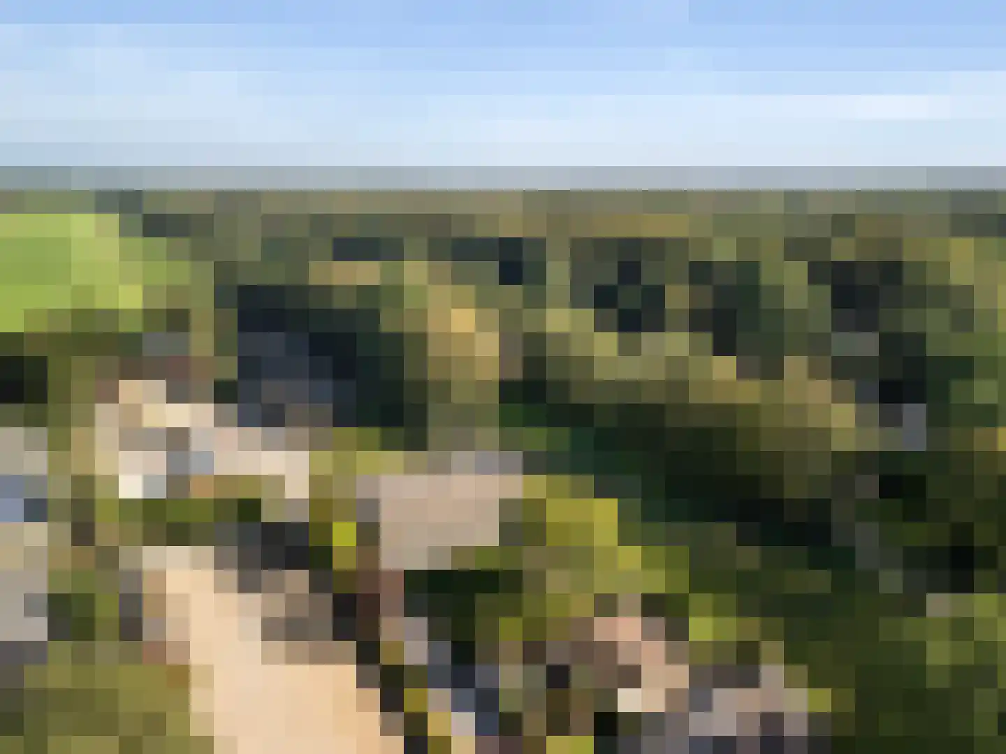 Dorpsweg 161 Maartensdijk thumbnail 24