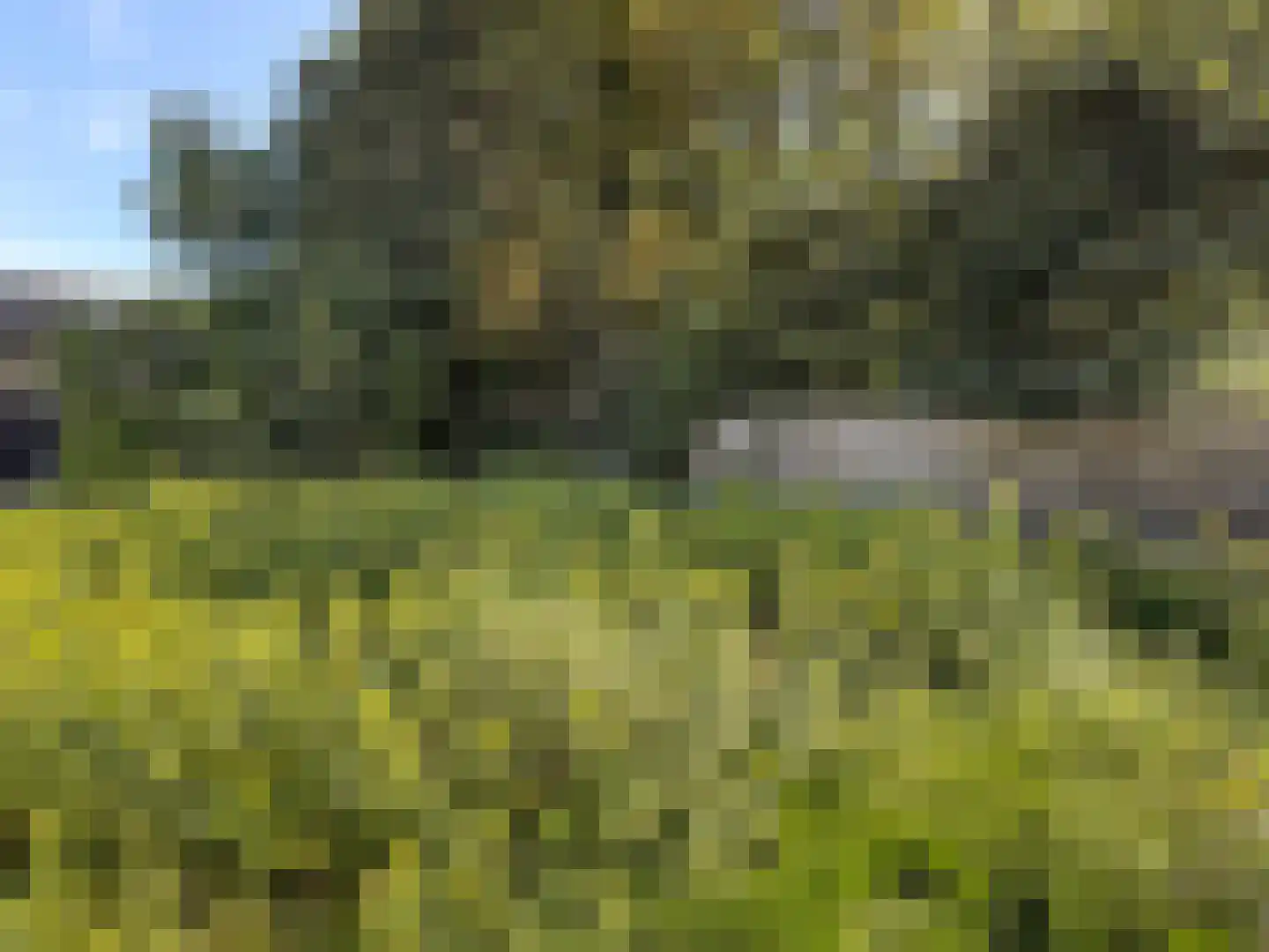 Dorpsweg 161 Maartensdijk thumbnail 29