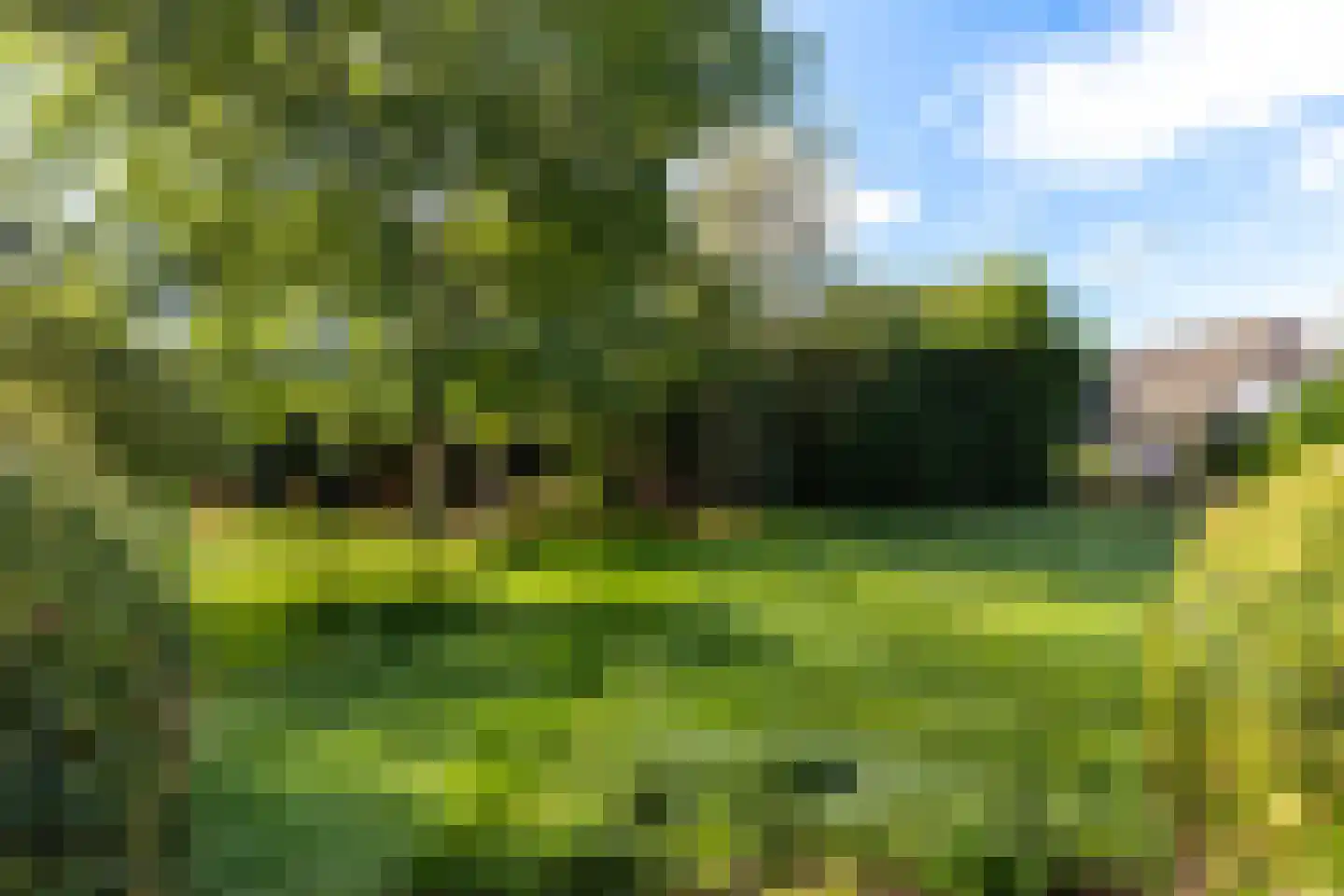Dorpsweg 161 Maartensdijk thumbnail 4