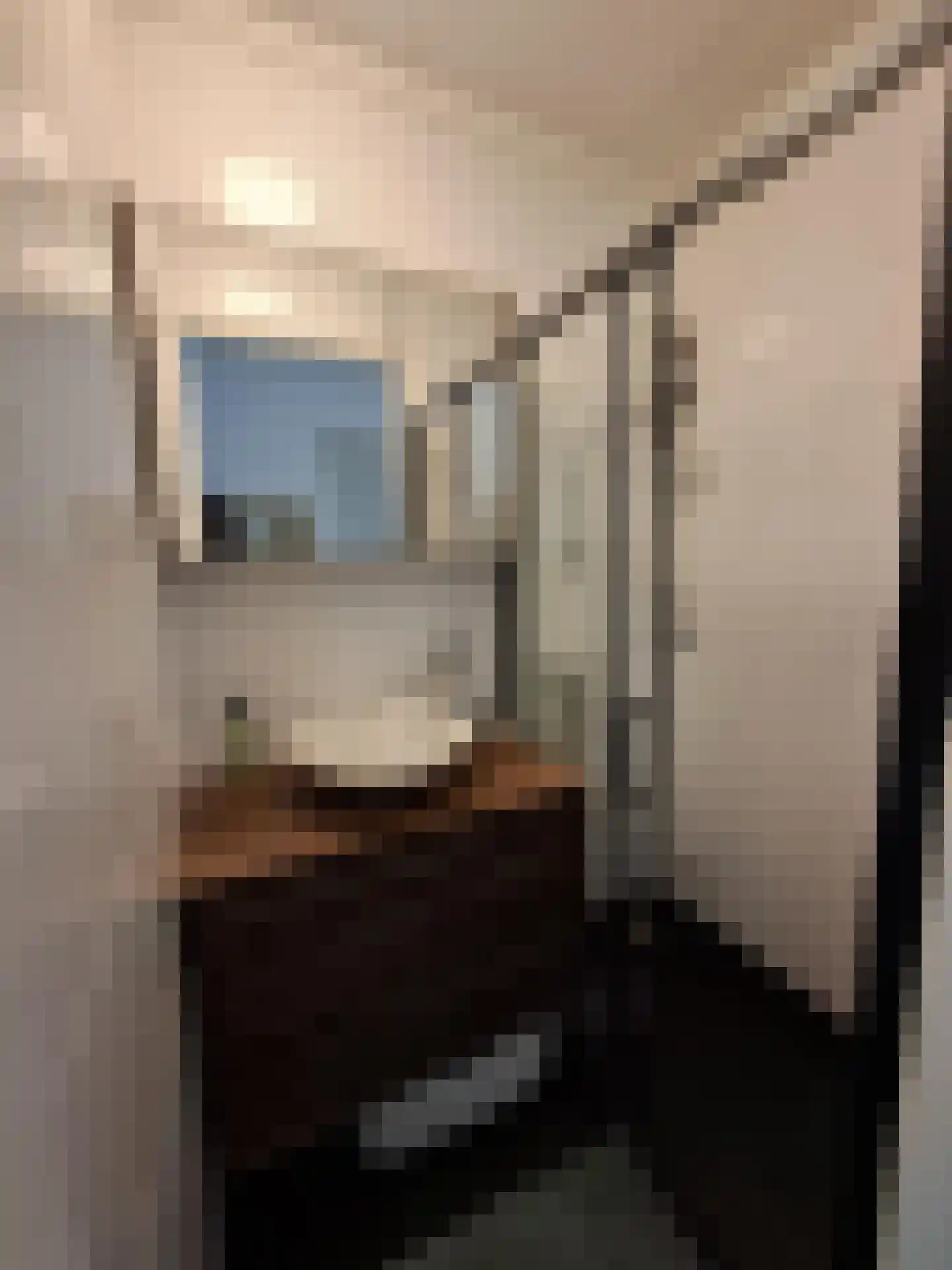 Dorpsweg 163 C Rotterdam thumbnail 8