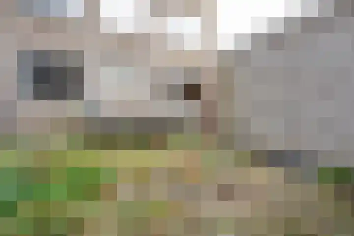 Dorpsweg 164 A Rotterdam thumbnail 21