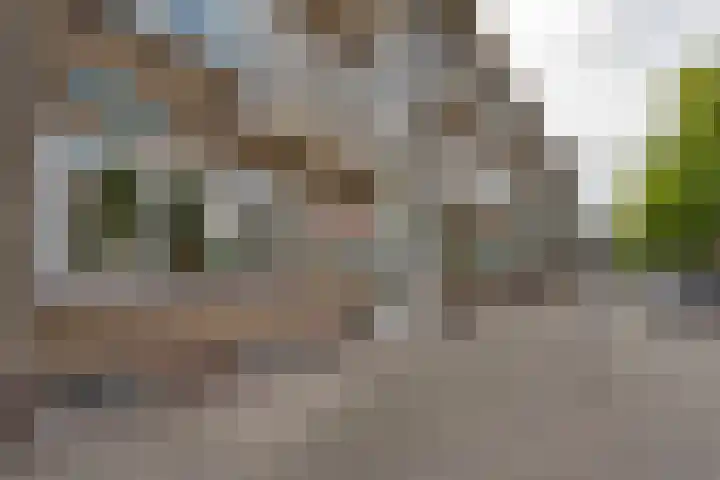 Dorpsweg 164 A Rotterdam thumbnail 7