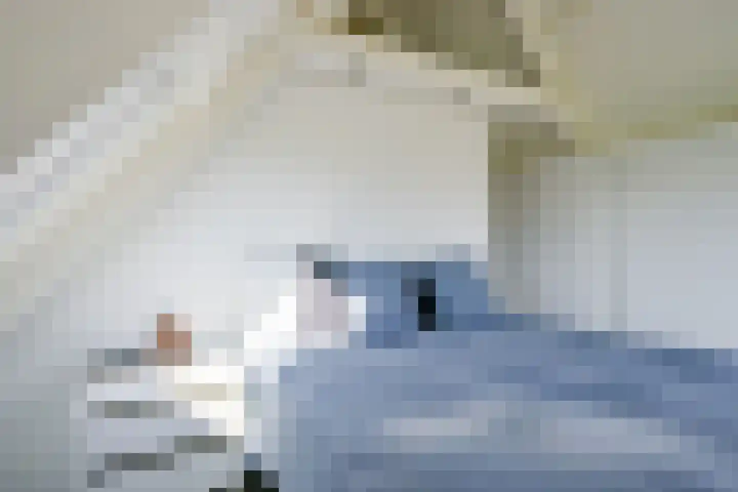 Dorpsweg 165 Twisk thumbnail 23