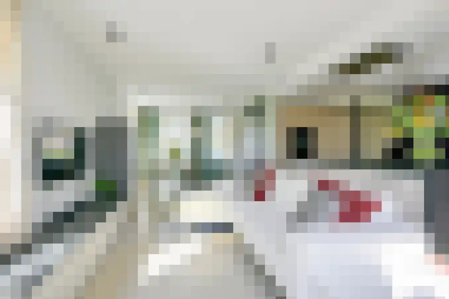 Dorpsweg 165 Twisk thumbnail 4