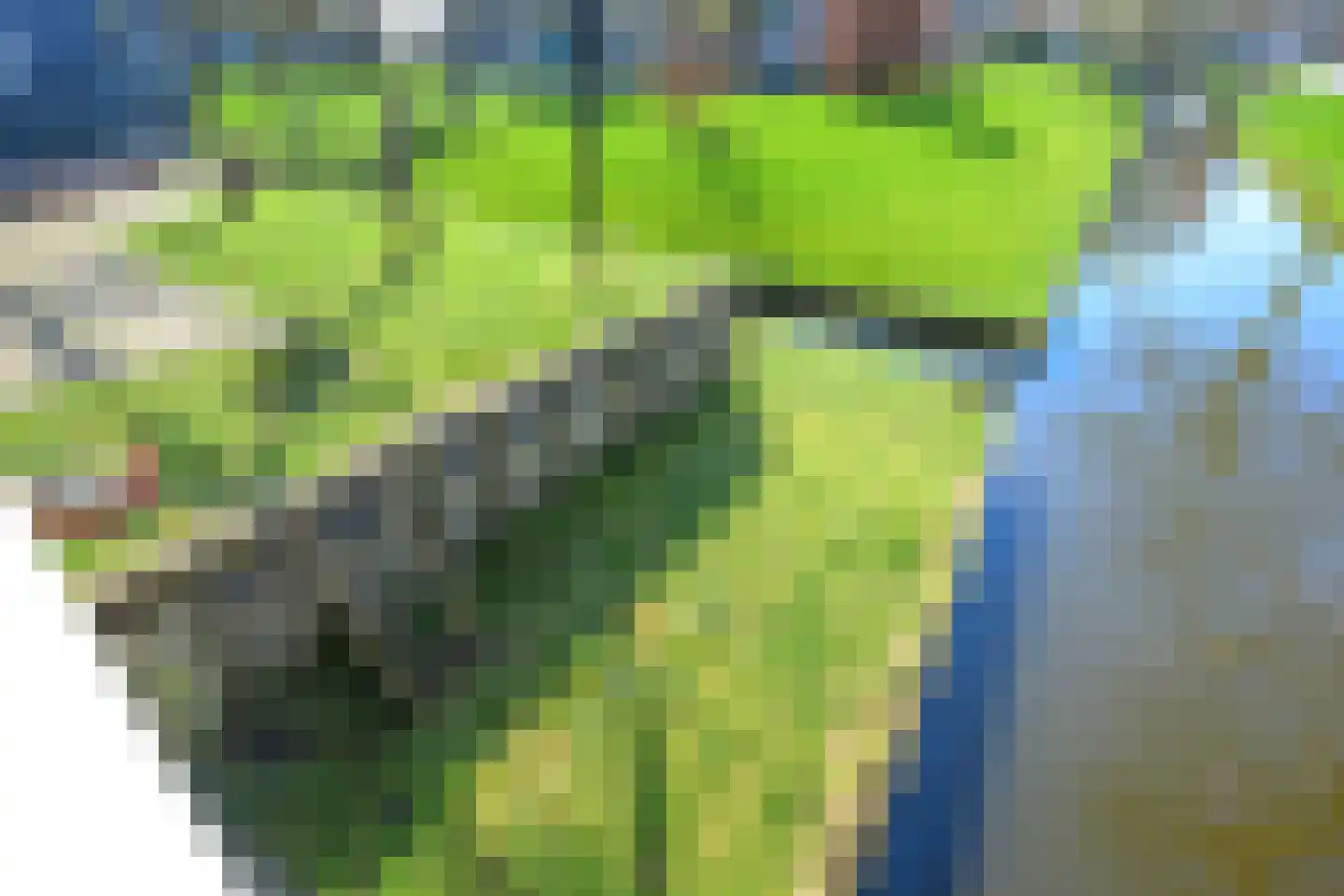 Dorpsweg 165 Twisk thumbnail 48